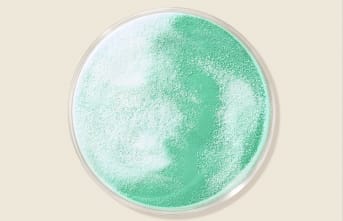 Quels sont les bienfaits du Zinc ?