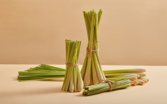 Quels sont les bienfaits de la Citronnelle ? 