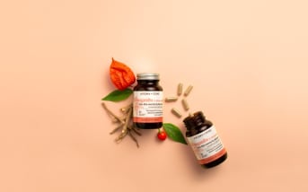 Quels sont les bienfaits de l'ashwagandha en musculation ?