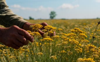 Quel est notre impact ?
