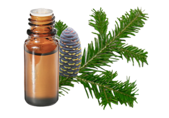 Olio essenziale di Abete siberiano
