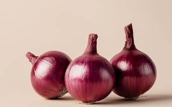 Oignon rouge : propriétés nutritionnelles et bienfaits au quotidien