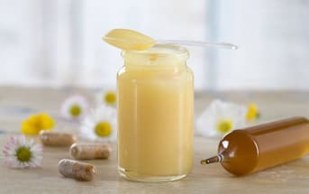 Propolis ou Gelée Royale : Faites le bon choix pour l'hiver