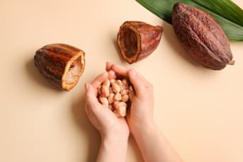Quali sono i benefici del Cacao grezzo?