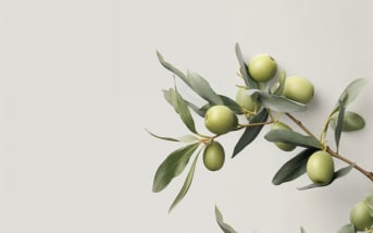Un rituel inspiré des terres d’olive : nettoyez votre peau autrement