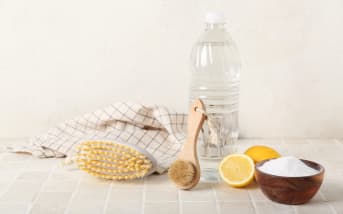 Anti-mite alimentaire : qu'est-ce que c'est ?