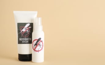 Les conseils d'Isabelle sur les moustiques