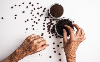 Le marc de café fait-il vraiment fuir les moustiques ?