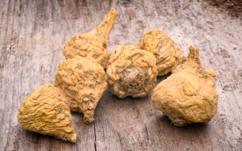 Quels sont les effets de la plante Maca ?