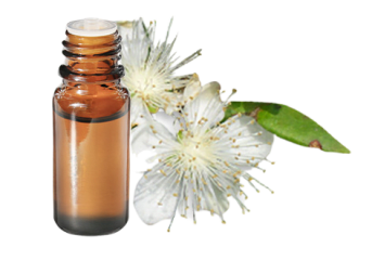 Olio essenziale di Mirto verde
