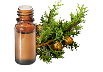 Olio essenziale di Olio essenziale di Cipresso sempreverde