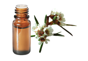Olio essenziale di Fragonia