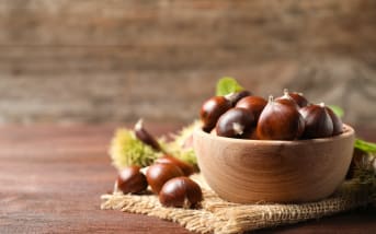 Marrons, châtaignes… nos astuces pour découvrir les fruits comestibles en forêt !