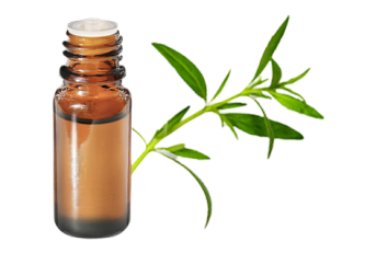 Olio essenziale di Olio essenziale di Dragoncello