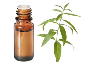 Huile essentielle de Verveine odorante