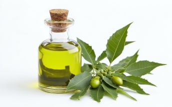 Peau grasse, cuir chevelu irrité, dents sensibles : le neem a tout bon