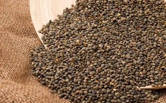 Lentille : comprendre ses calories et ses atouts nutritionnels