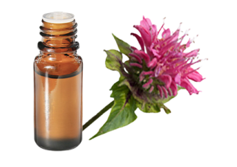 Olio essenziale di Monarda fistulosa