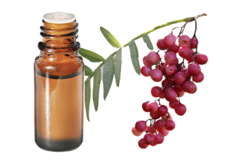 Olio essenziale di Bacche rosa