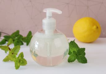 Pousse-mousse purifiant menthe & citron