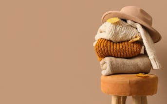 Vêtements et "mites noires" : prévention et conseils pratiques