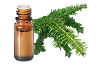 Olio essenziale di Abete bianco