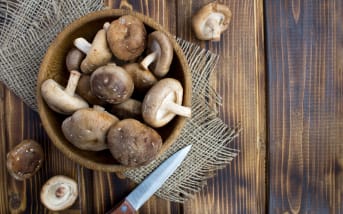 Shiitake : Bienfaits, propriétés et utilisations ?