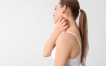 Insectes qui piquent : comment les identifier et éviter de se faire piquer ?