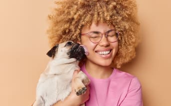 Se cacher sous le lit : un signe d’anxiété chez le chien (ou juste un besoin de calme) ?