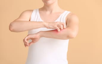 Tique rouge : tout savoir sur cette tique et ses particularités