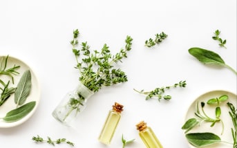 Quelles huiles essentielles ont un effet coupe faim ?