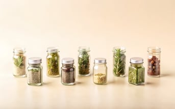 Reconnaître et traiter les œufs de mites : nos conseils