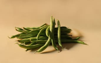 Haricots verts : tout savoir sur leurs calories et leur composition