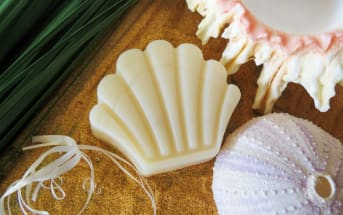 Pain de savon surgras summer