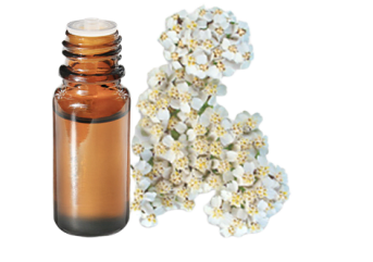 Olio essenziale di Achillea millefoglie