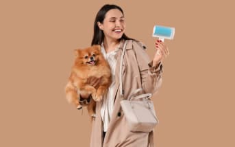 Comment entretenir un chien à poil long : conseils pour un poil doux
