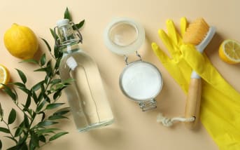 Quali sono i rimedi naturali contro le mosche?