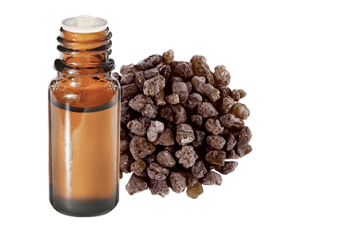 Huile essentielle d'Encens noir BIO