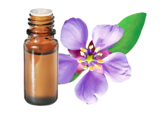 Olio essenziale di Legno di Guaiaco