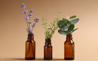 Du potager à la salle de bain : le Thym, plante bien-être par excellence