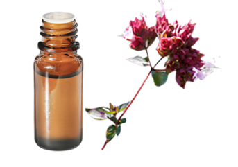 Huile essentielle d'Origan compact