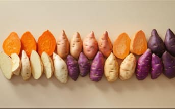 Ube : comment profiter de ses vertus nutritionnelles ?