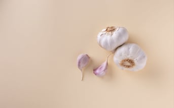Comment bien conserver l’Ail et l’Oignon sans risque de germination ? 