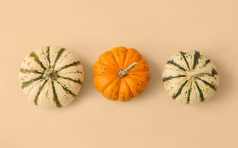 Septembre : les fruits et légumes stars du mois à inviter dans vos assiettes