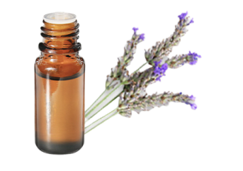 Olio essenziale di Lavanda spica BIO