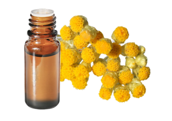 Huile essentielle d'Hélichryse italienne (Immortelle)