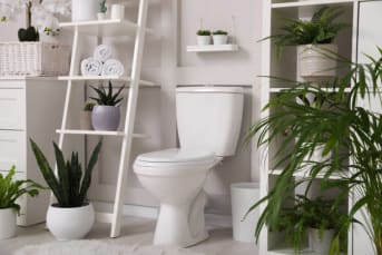 WC Impeccables : Astuces Écologiques et Naturelles à Adopter !