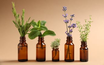 Quelles plantes privilégier en cas d’endométriose ?