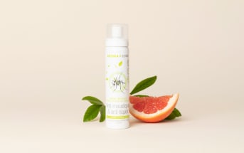 Les meilleurs répulsifs moustique maison