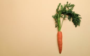 La carotte : comprendre ses calories et ses atouts nutritionnels